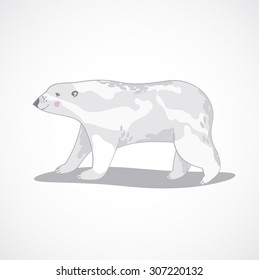 White Polar Bear