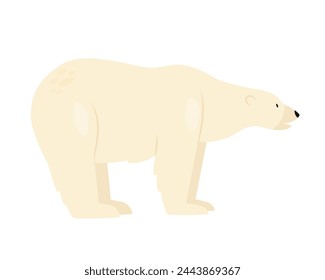 White polar bear. Arctic and antarctic animals, furry coat bear cartoon vector illustration