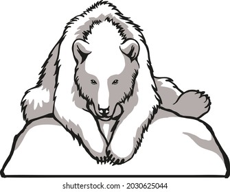 White polar bear. Black and white pattern, suitable for laser engraving, mascot for printing or embroidery