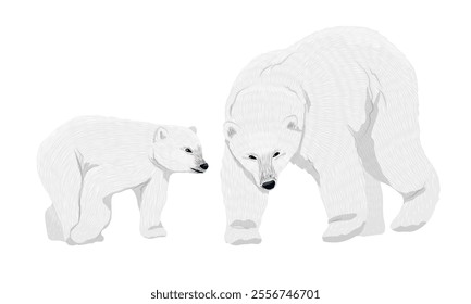 White polar bear and her cub. Wild animals of the Arctic. Realistic vector animal