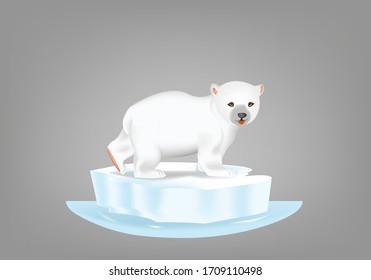 Oso polar blanco sobre fondo gris