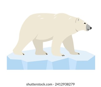 white Polar bear on ice floe. Wild polar Bear animal of the Arctic and the Arctic Circle isolated on white background. Vector icon illustration.