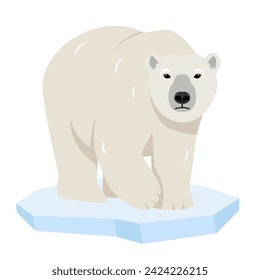 White Polar bear on ice floe. Wild polar Bear animal of the Arctic and the Arctic Circle. Vector icon illustration icon isolated on white background.