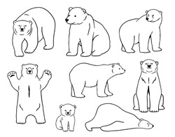 White Polar Bear Stands On Paws, Lying. Baby White Polar Bear Line Sketch Set. Outline Vector Illustration Of Forest Animal.