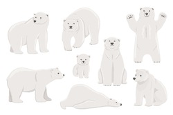 White Polar Bear Stands On Paws, Lying. Baby White Polar Bear Set. Flat Vector Illustration Of North Animal.