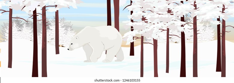 A white polar bear walks through a snowy pine forest. Animals of the North. Realistic Vector Landscape