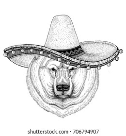 White polar bear wearing sombero Vector illustration Old classic vintage style illustration for t-shirt, poster, banner, embem, badge, tattoo, zoo