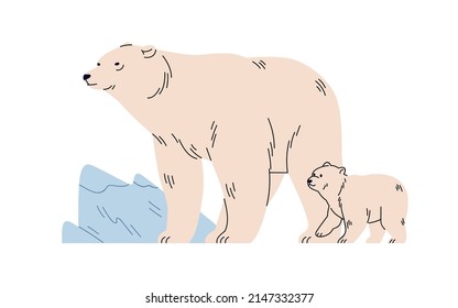 White polar bears family in wild nature. Arctic Northern animals, mother and baby cub in cold winter among ice, snow. North Pole wildlife. Isolated flat vector illustration