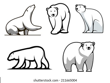 White polar bears set in cartoon style for mascot or logo design