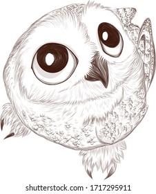 white polar cartoon owl bird black and white sketch. vector illustration cute funny