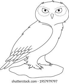 White polar owl sitting in the snow.  Colorful book.