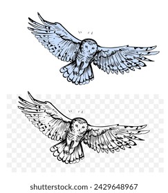 White polar owl, sketch illustration, hand drawn, black outline, engraving style