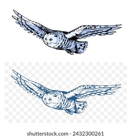 White polar owl, sketch illustration, hand drawn, black outline, engraving style