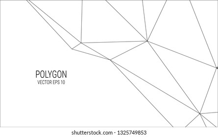 white polygon background