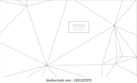 White Polygon Background
