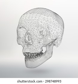 White polygonal skull on white studio background.