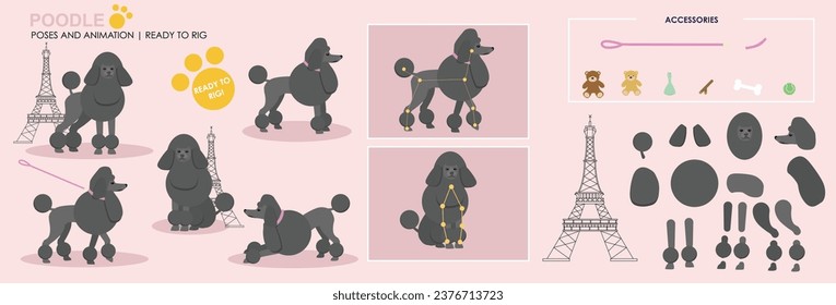 White Poodle Dog character for animation. Created with various poses, expressions and angles, ready to rig for animation.