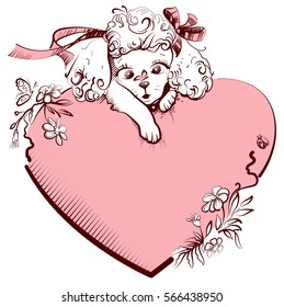 White Poodle Dog and heart symbol of love. Greeting card for valentines day. Isolated vector illustration