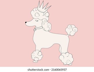 WHITE POODLE VECTOR HAND DRAWN DESİGN