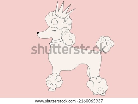 WHITE POODLE VECTOR HAND DRAWN DESİGN
