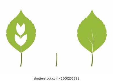 White Poplar Leaf Color Art Capturing the Grace of Poplar Leaf Patterns