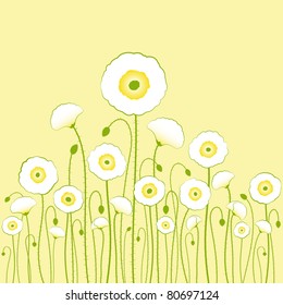 White poppy on yellow background