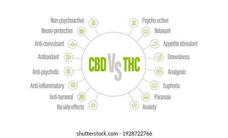 Weißes Poster mit Vergleich CBD und THC. CBD vs THC, Liste der Unterschiede mit Symbolen