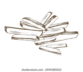 White potato slices, peeled, long french fry sticks, a bunch. Graphic illustration hand drawn in brown ink. EPS vector on the theme of harvest cooking, food, packaging, vegetable shop design.