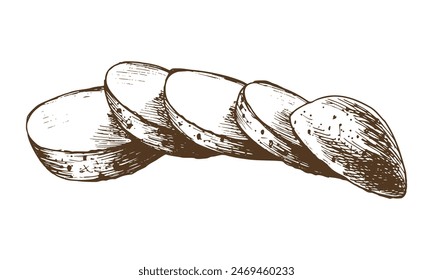 White potatoes in brown skin, cut into round slices, stacked. Graphic illustration hand drawn in brown ink line art on the theme of harvest, cooking, food, vegetable. Element EPS vector