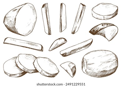 White potatoes, peeled, whole, half, cut into slices and sticks for French fries. Graphic illustration hand drawn in brown ink. EPS vector on the theme of harvest cooking, food, packaging