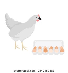 Gallina blanca de granja de aves de corral y caja de cartón con huevos de pollo. Ilustración vectorial aislada sobre fondo blanco. Ilustración vectorial