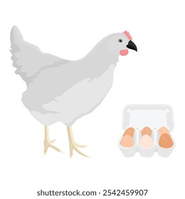 Gallina blanca de granja de aves de corral y caja de cartón con huevos de pollo. Ilustración vectorial aislada sobre fondo blanco. Ilustración vectorial