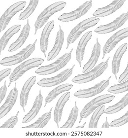 white poultry feather background vector