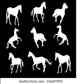 White prance horse silhouette, vector illustration , horse race, isolated on black background, set of horses silhouette, group of horses silhouette 