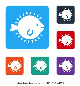White Puffer fish icon isolated on white background. Fugu fish japanese puffer fish. Set icons in color square buttons. Vector