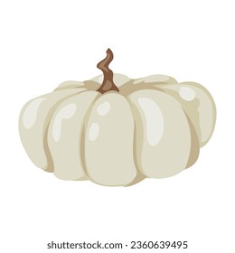 white pumpkin design vector isolated