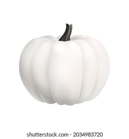 White pumpkin for the halloween holiday or thanksgiving day