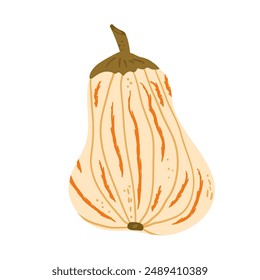 White pumpkin isolated on white background. Textured stylized autumn ripe vegetable harvest. Butternut squash. Vector hand drawn illustration