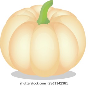 Ilustración vectorial de calabaza blanca. Calabaza de Halloween de otoño, icono gráfico vegetal o impreso, aislado en fondo blanco.