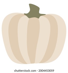 White Pumpkin Vector illustration. Gourd For Thanksgiving Day or Halloween design. Isolated on white background