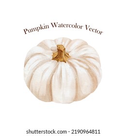 White pumpkin watercolor vector isolated on white background great for cards, banners, headers, party posters or decorate your artwork.