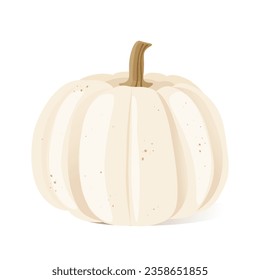 Calabazas blancas aisladas en un fondo blanco. Ilustración vectorial.