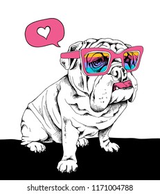 White puppy Bulldog in a rainbow sunglasses. Humor card, t-shirt composition, hand drawn style print. Vector illustration.