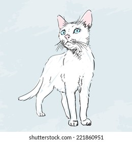 White pussy cat sketch, Hand drawn illustration