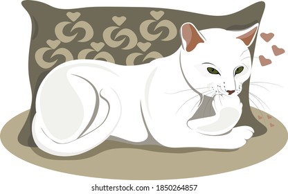 white pussy with pink hearts in front of a pillow