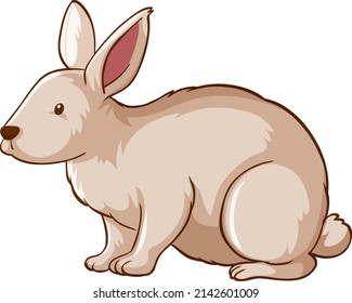 White rabbit animal cartoon on white background illustration