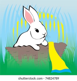 White rabbit in a basket.