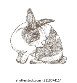 White rabbit with black spots around the eyes. Seating bunny. Hare isolated on white background. Hand drawn sketch Enaving style. Chinese New Year Symbol. Easter cheerful character in mask. Vector