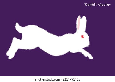 White Rabbit. cartoon rabbit vector Icon. Isolated cartoon icon set.Vector Rabbit illustration on isolated background.