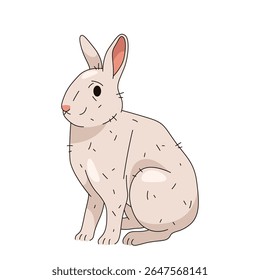 White rabbit or domestic bunny. Isolated vector of forest or wood hare. Furry wildlife mammal or fluffy animal. Easter holiday symbol or festive card element. Countryside pet. Nature and zoology.